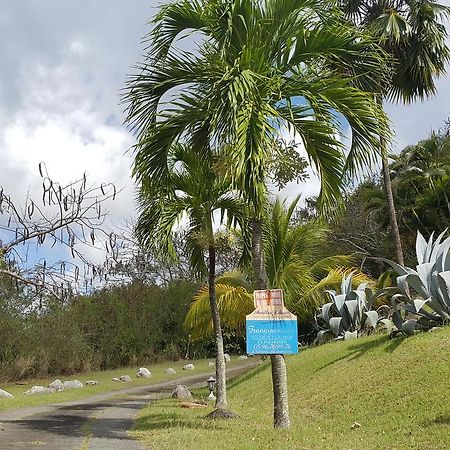 Studios Carribean Sea View サンタンヌ エクステリア 写真