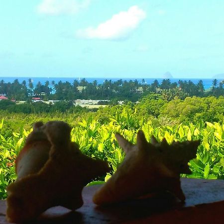 Studios Carribean Sea View サンタンヌ エクステリア 写真
