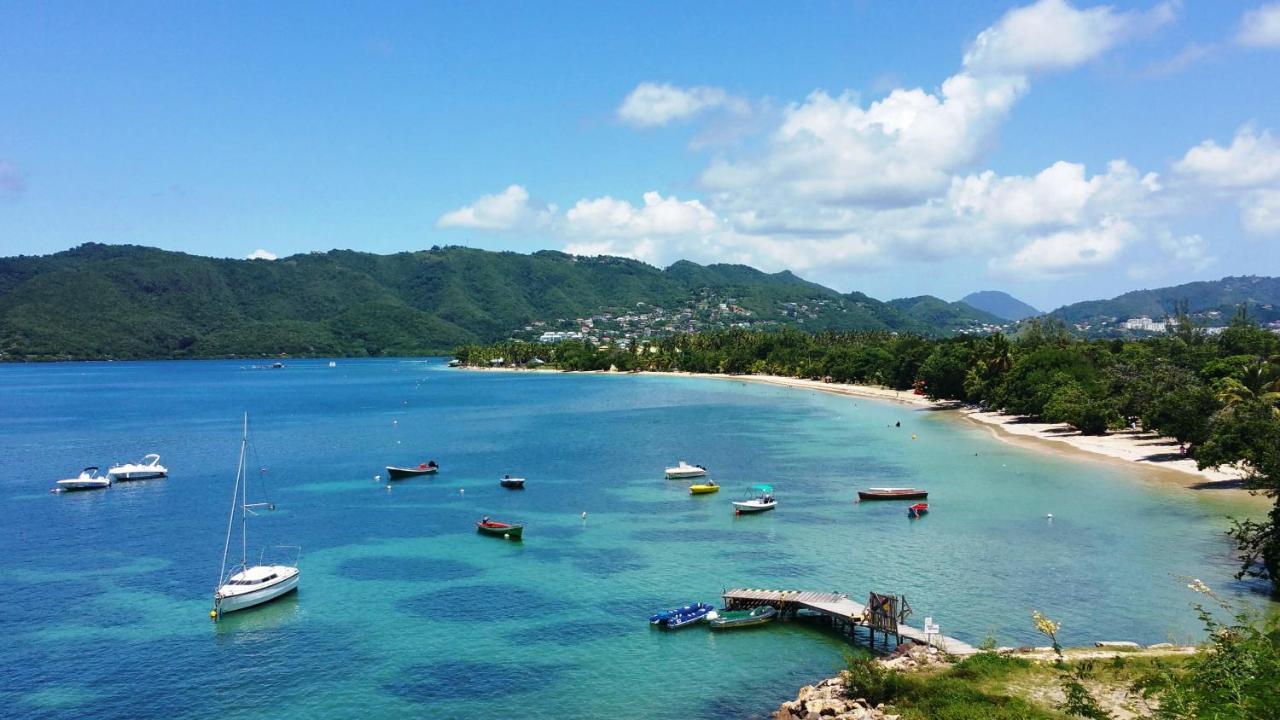 Studios Carribean Sea View サンタンヌ エクステリア 写真