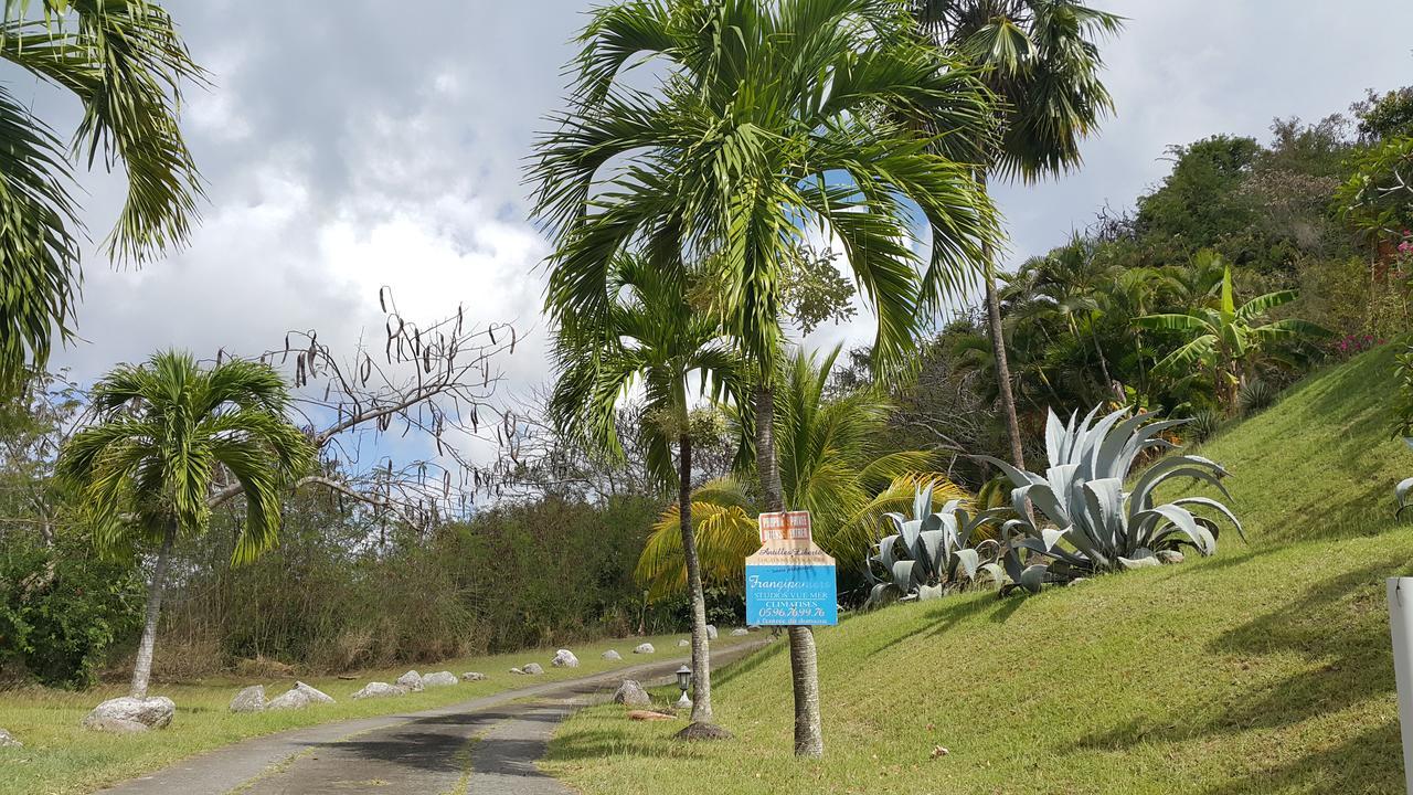 Studios Carribean Sea View サンタンヌ エクステリア 写真