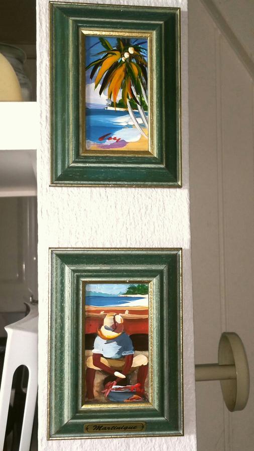 Studios Carribean Sea View サンタンヌ エクステリア 写真