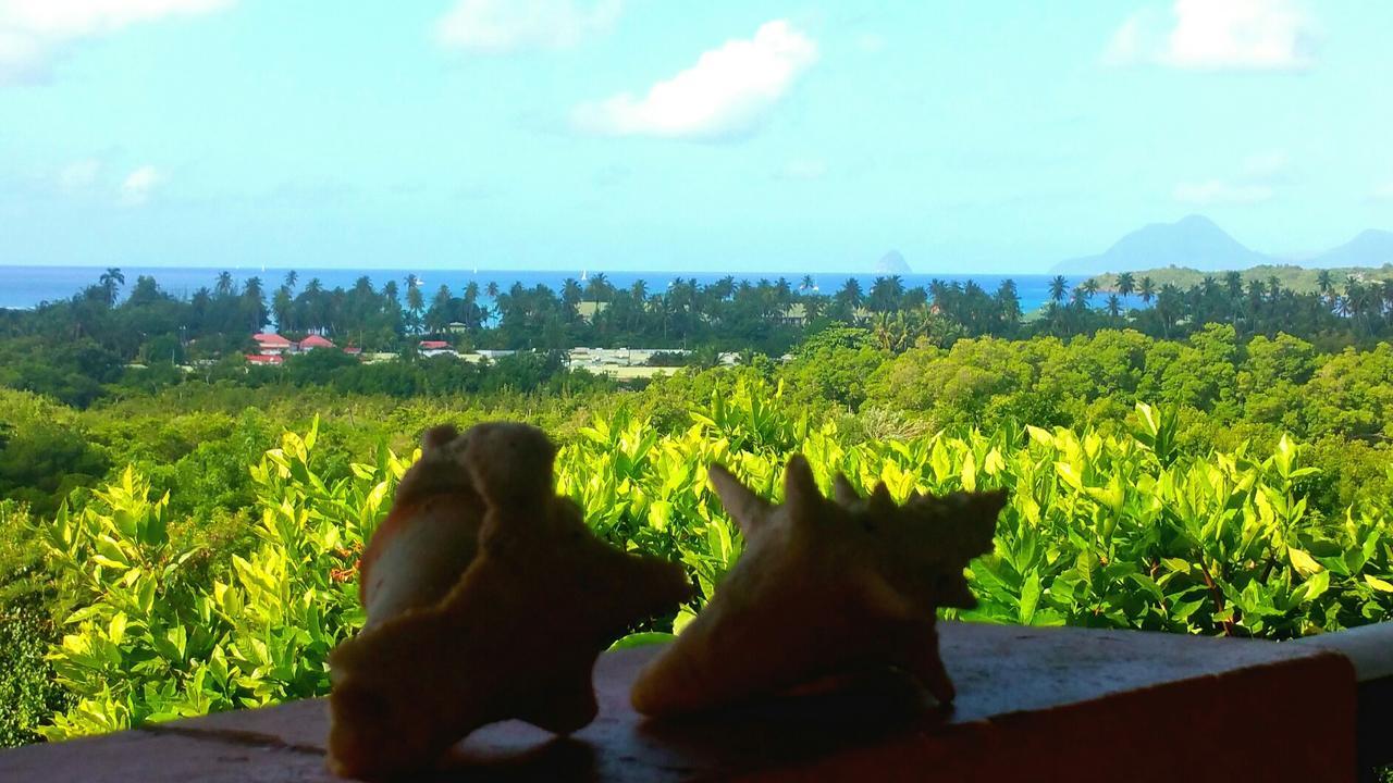 Studios Carribean Sea View サンタンヌ エクステリア 写真